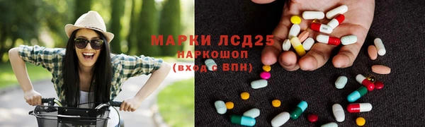 сатива Горняк