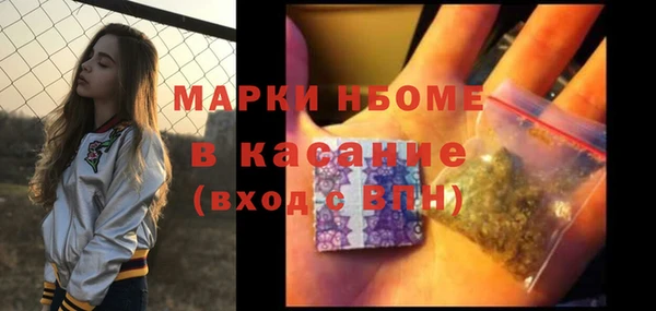 сатива Горняк