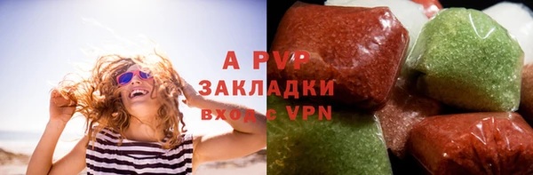 сатива Горняк