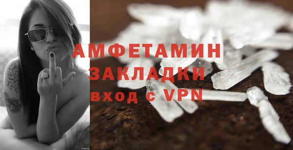 сатива Горняк