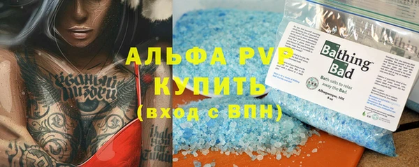 сатива Горняк