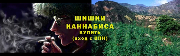 сатива Горняк