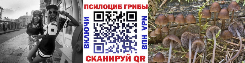 Псилоцибиновые грибы MAGIC MUSHROOMS  kraken вход  Духовщина 